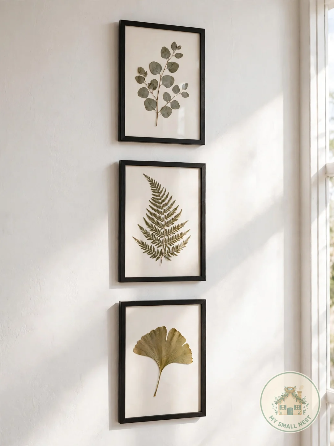Framed Botanical Prints from Your Own Pressed Leaves - diy wall art